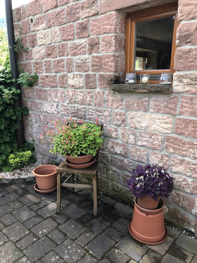 Ferienhaus Werkhof Schonau  ภายนอก รูปภาพ